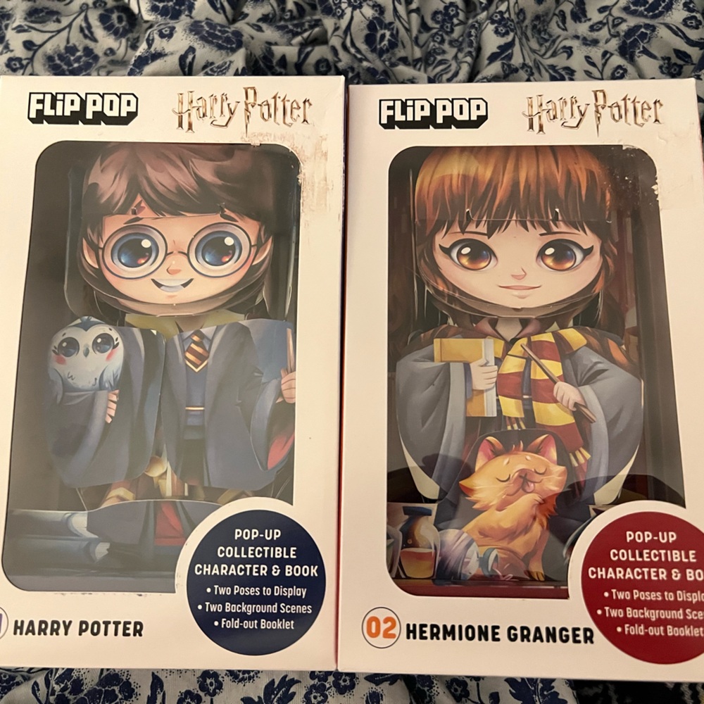 Harry Potter and Hermione Granger Action Figures